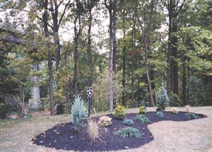 Babyland section in Bedford Cemetery established in the 1900's